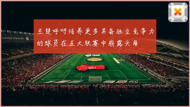 王楚呼吁培养更多具备独立竞争力的球员在五大联赛中崭露头角