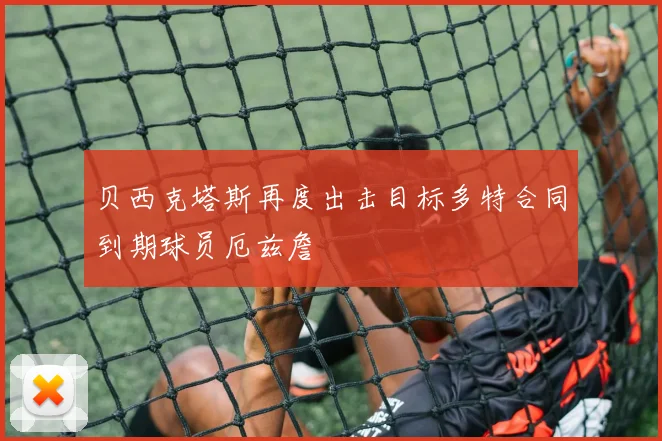 贝西克塔斯再度出击目标多特合同到期球员厄兹詹